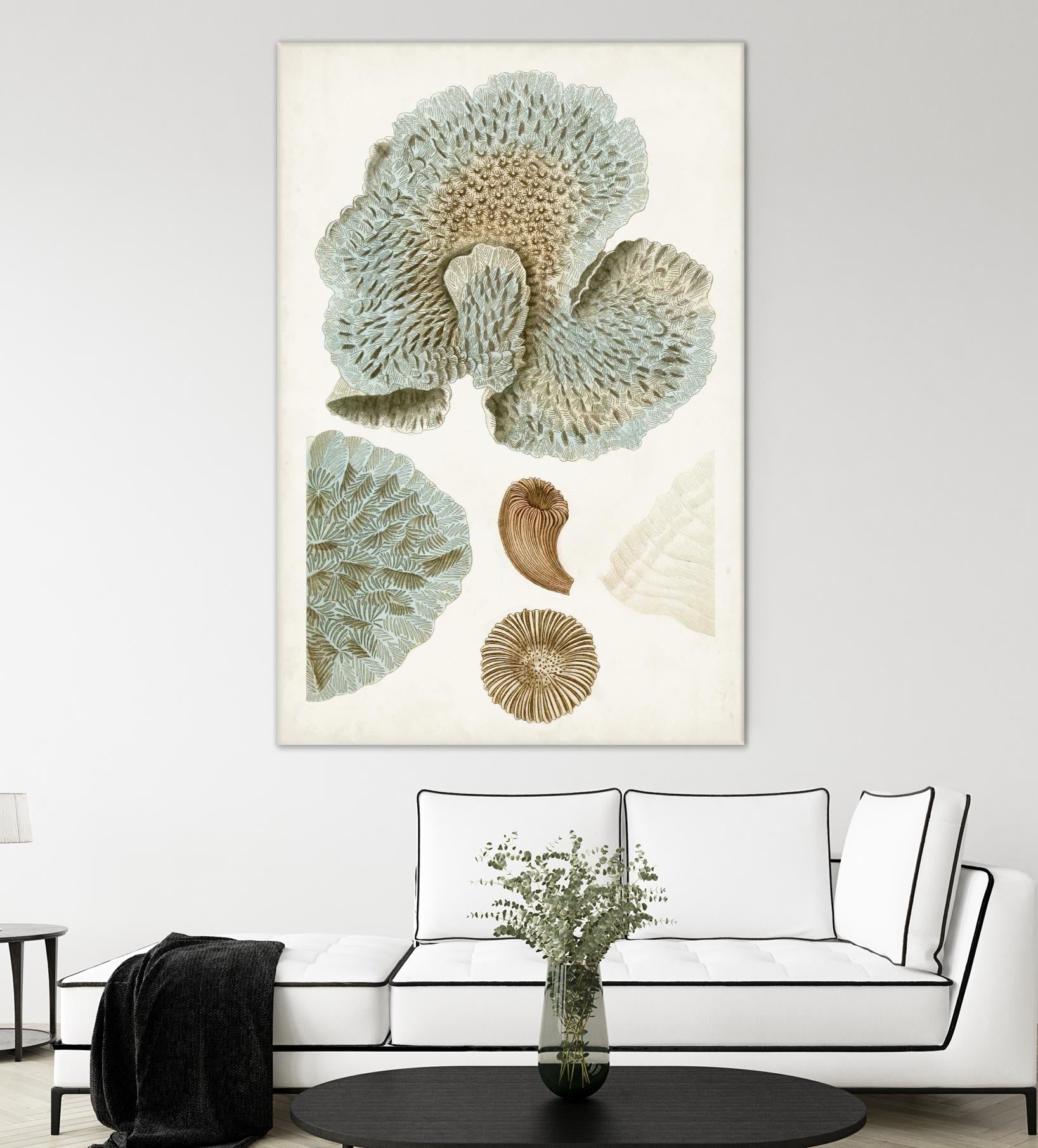 Coastal Curiosity V by Unknown on GIANT ART - green coastal & tropical abstract