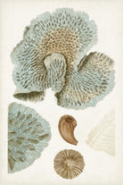 Coastal Curiosity V by Unknown on GIANT ART - green coastal & tropical abstract