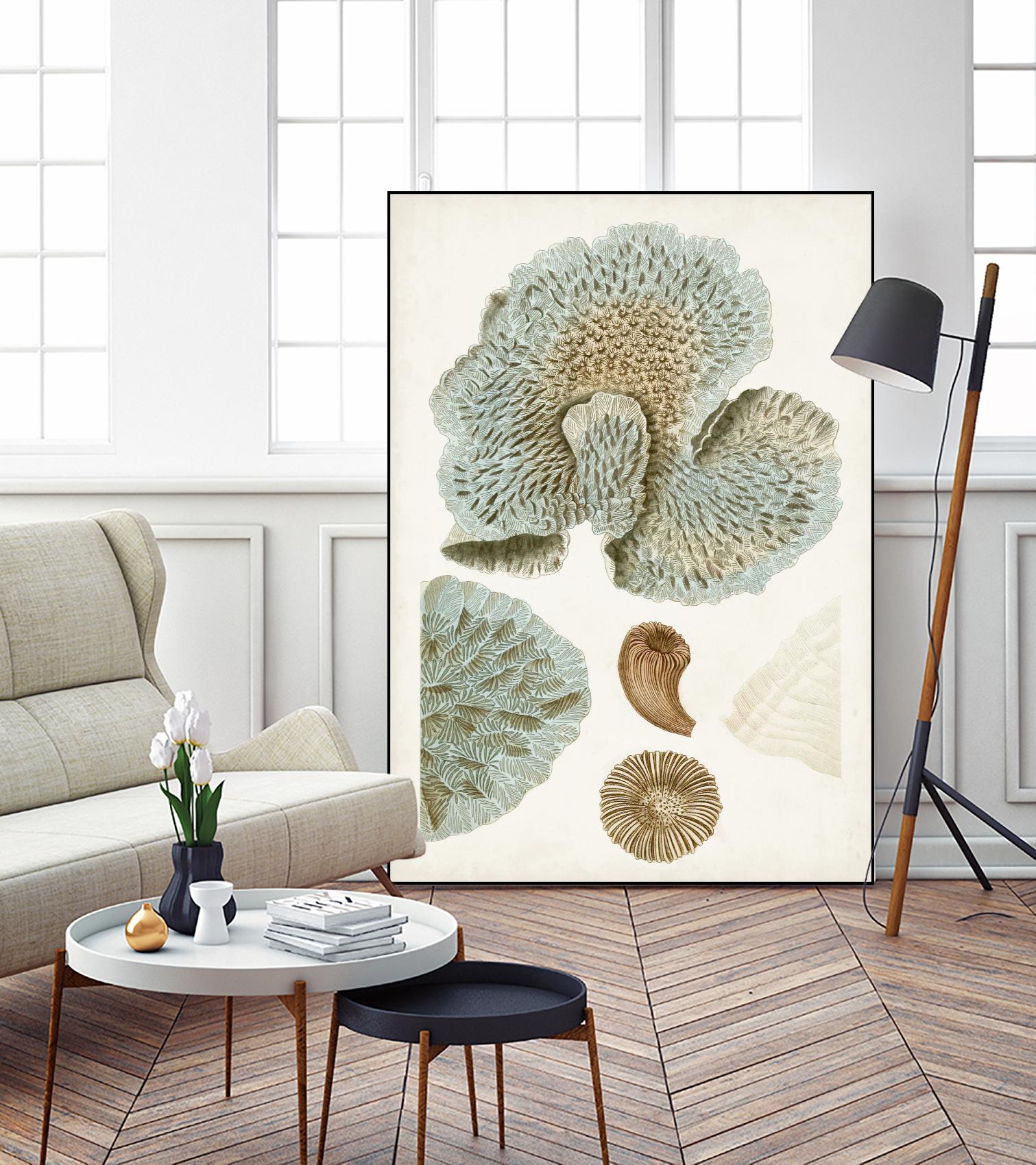 Coastal Curiosity V by Unknown on GIANT ART - green coastal & tropical abstract