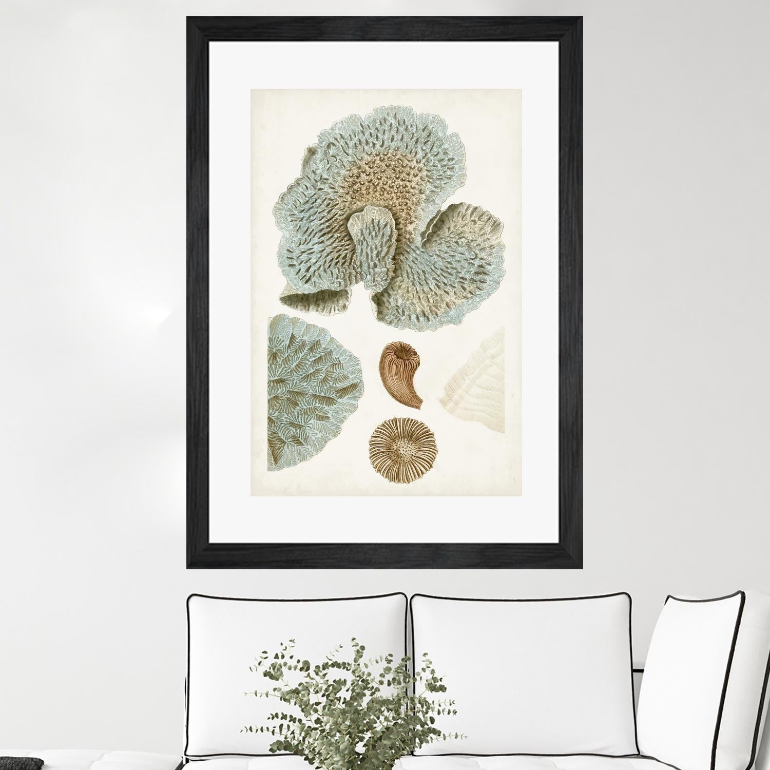 Coastal Curiosity V by Unknown on GIANT ART - green coastal & tropical abstract