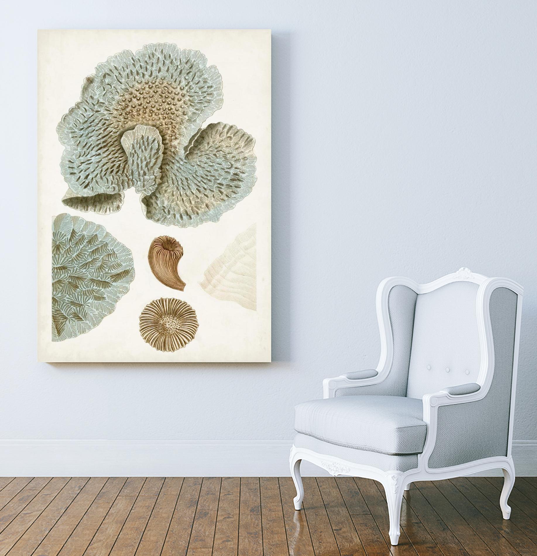 Coastal Curiosity V by Unknown on GIANT ART - green coastal & tropical abstract