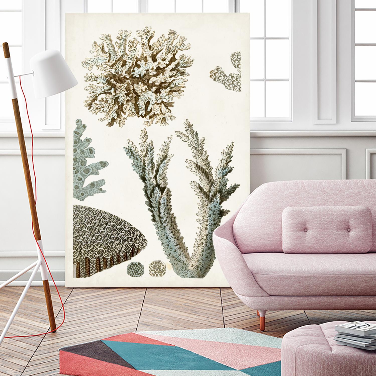 Coastal Curiosity VI by Unknown on GIANT ART - beige coastal & tropical sea