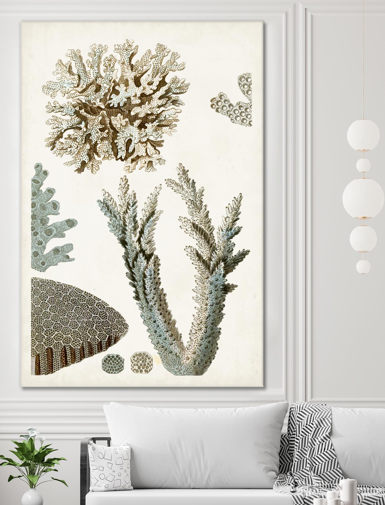 Coastal Curiosity VI by Unknown on GIANT ART - beige coastal & tropical sea