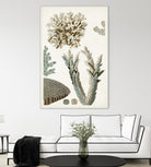 Coastal Curiosity VI by Unknown on GIANT ART - beige coastal & tropical sea