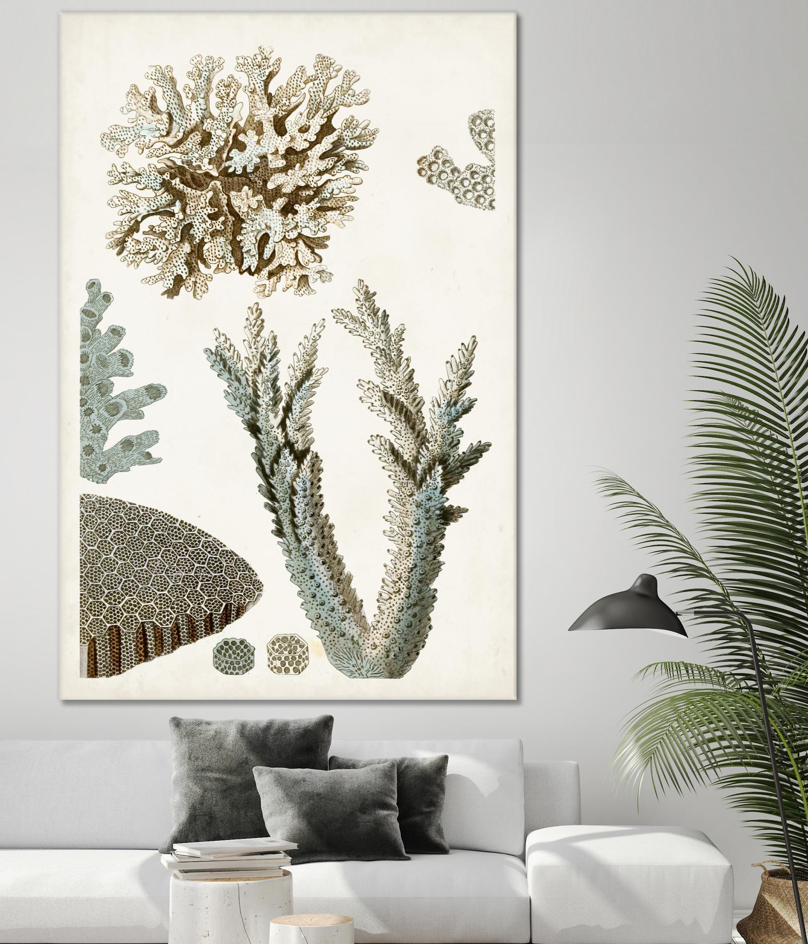 Coastal Curiosity VI by Unknown on GIANT ART - beige coastal & tropical sea