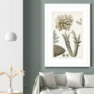 Coastal Curiosity VI by Unknown on GIANT ART - beige coastal & tropical sea