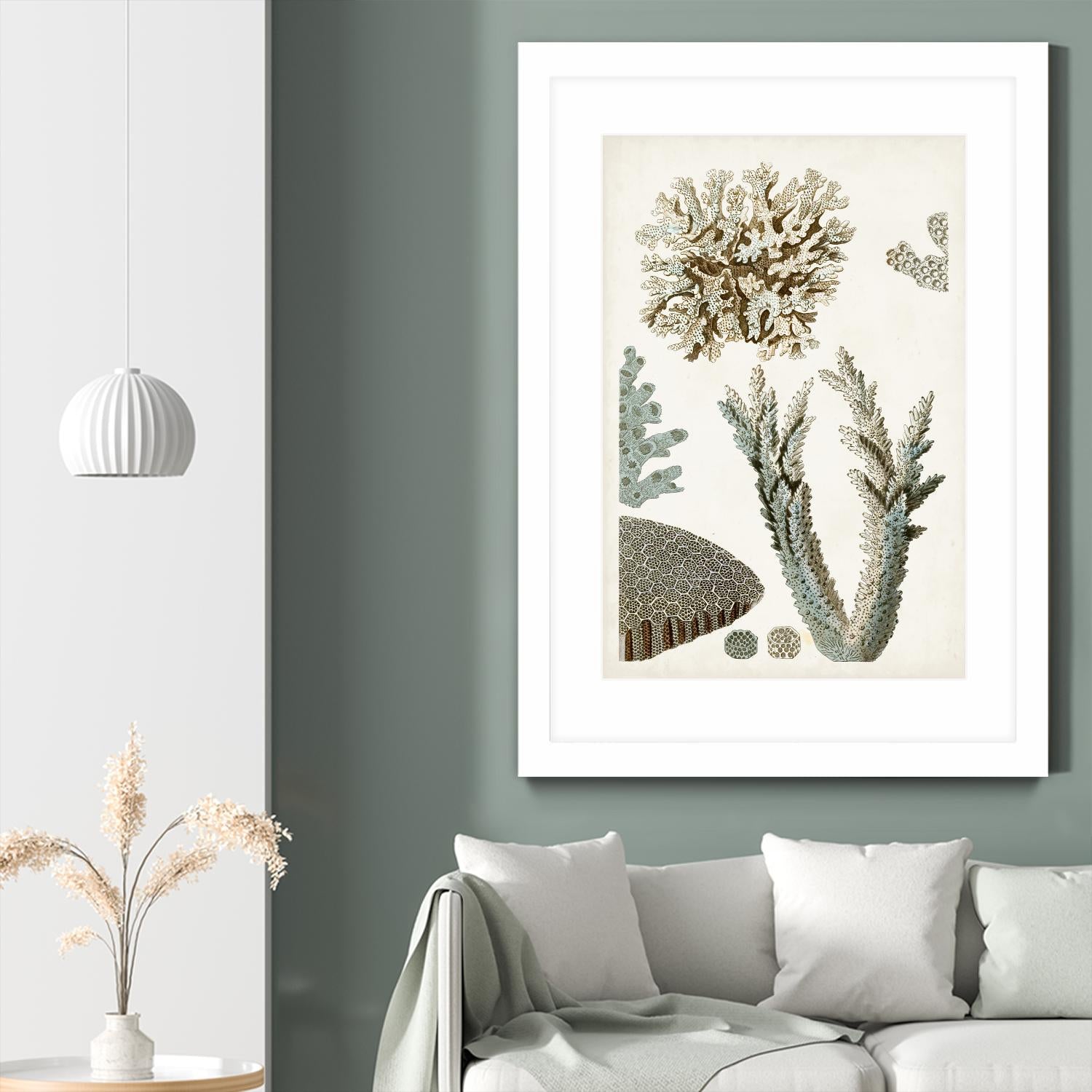 Coastal Curiosity VI by Unknown on GIANT ART - beige coastal & tropical sea