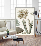 Coastal Curiosity VI by Unknown on GIANT ART - beige coastal & tropical sea