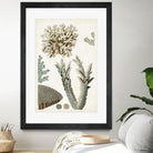 Coastal Curiosity VI by Unknown on GIANT ART - beige coastal & tropical sea