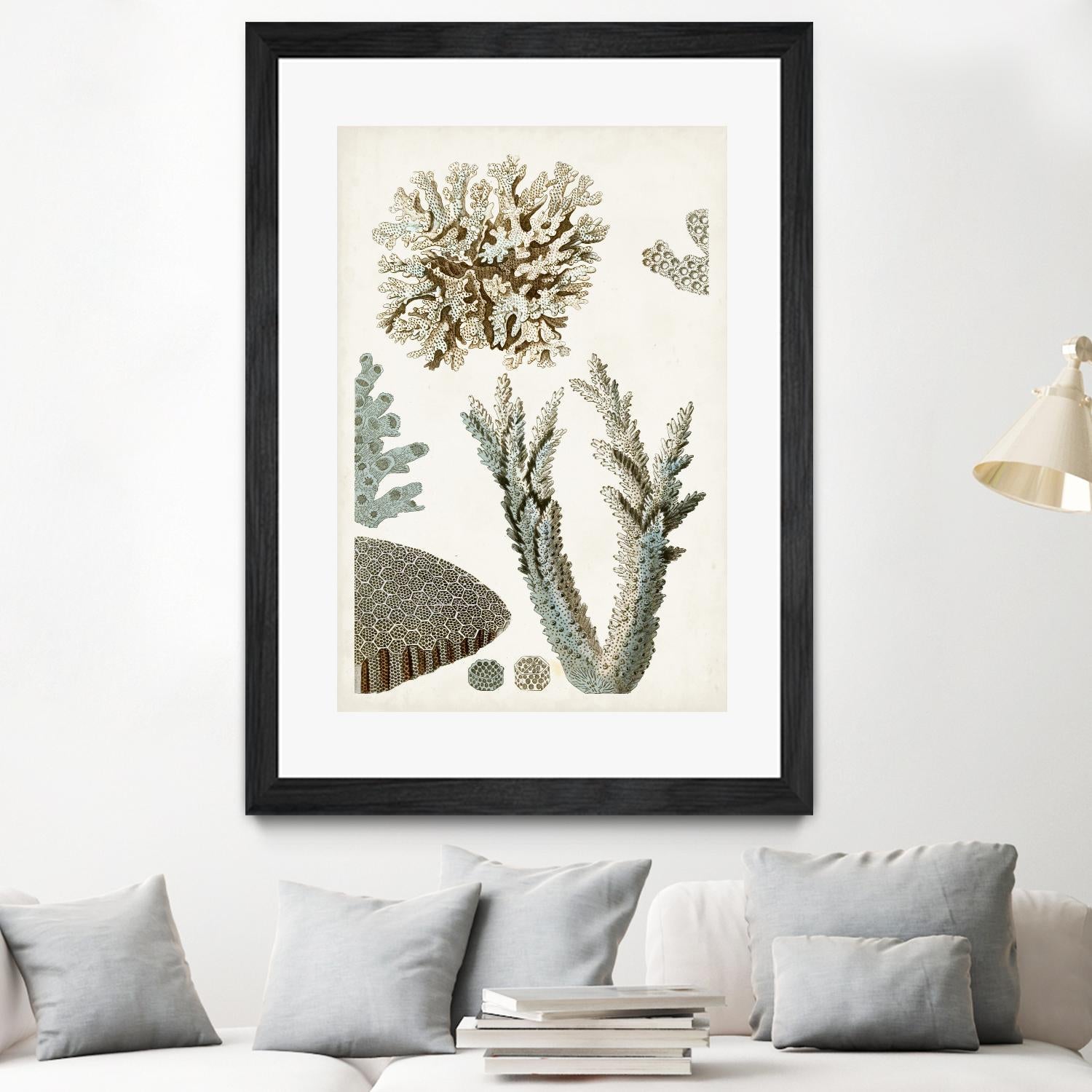 Coastal Curiosity VI by Unknown on GIANT ART - beige coastal & tropical sea