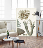 Coastal Curiosity VI by Unknown on GIANT ART - beige coastal & tropical sea