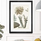 Coastal Curiosity VI by Unknown on GIANT ART - beige coastal & tropical sea