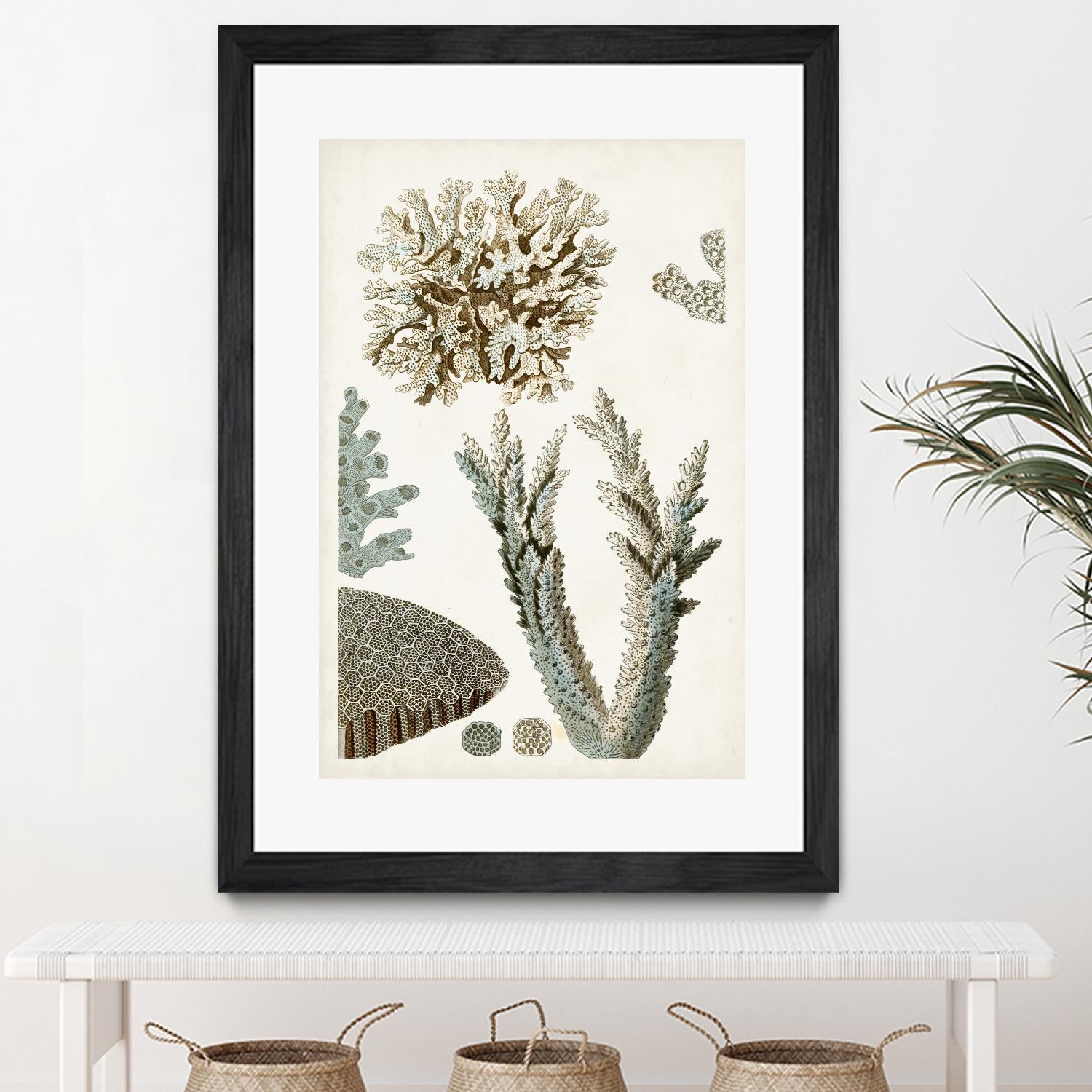 Coastal Curiosity VI by Unknown on GIANT ART - beige coastal & tropical sea