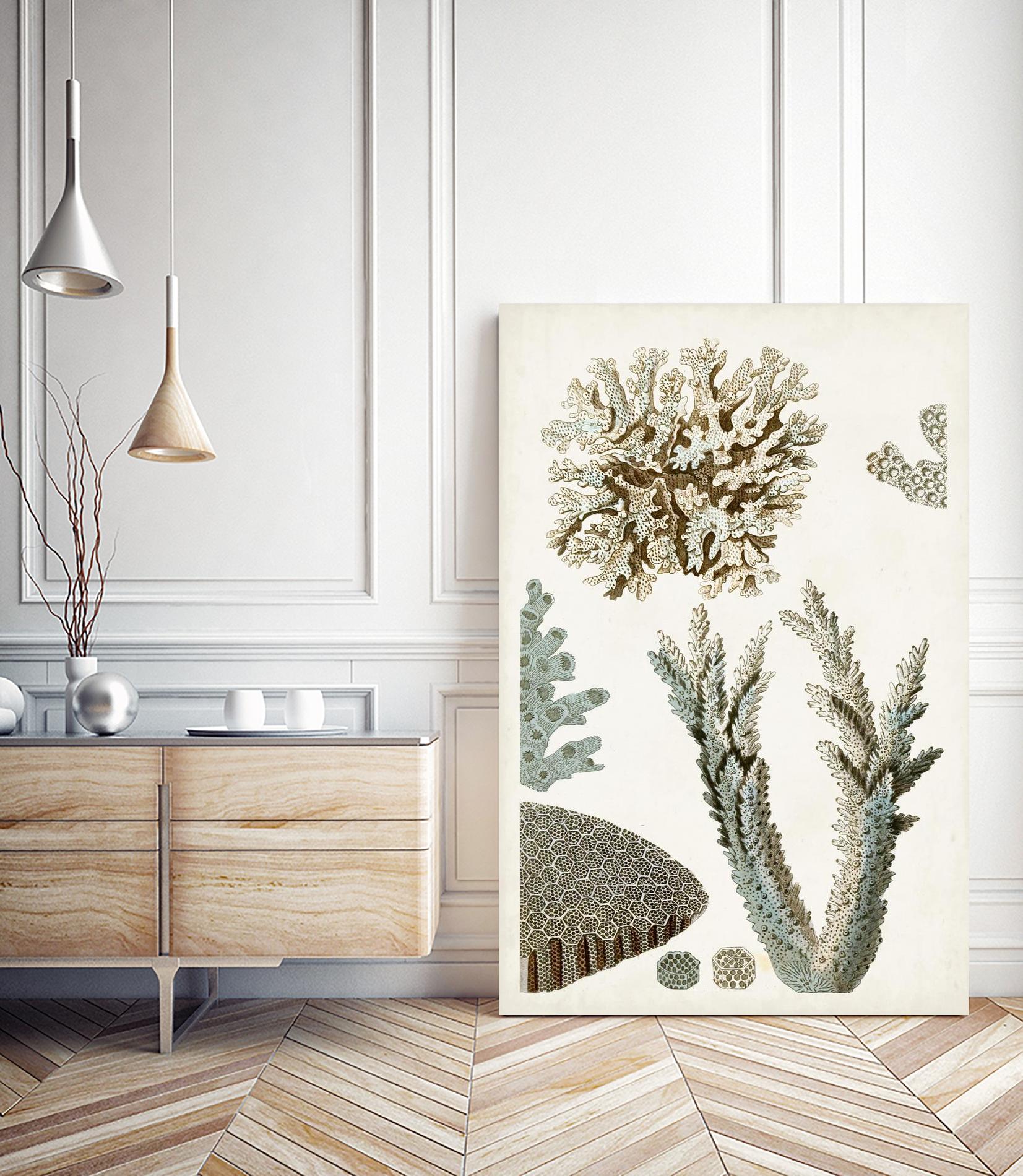 Coastal Curiosity VI by Unknown on GIANT ART - beige coastal & tropical sea