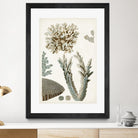 Coastal Curiosity VI by Unknown on GIANT ART - beige coastal & tropical sea