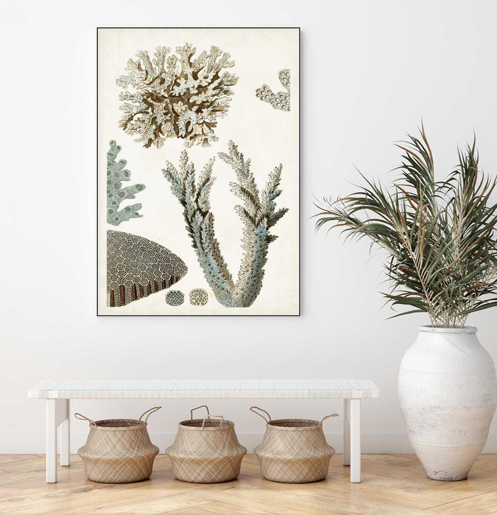 Coastal Curiosity VI by Unknown on GIANT ART - beige coastal & tropical sea
