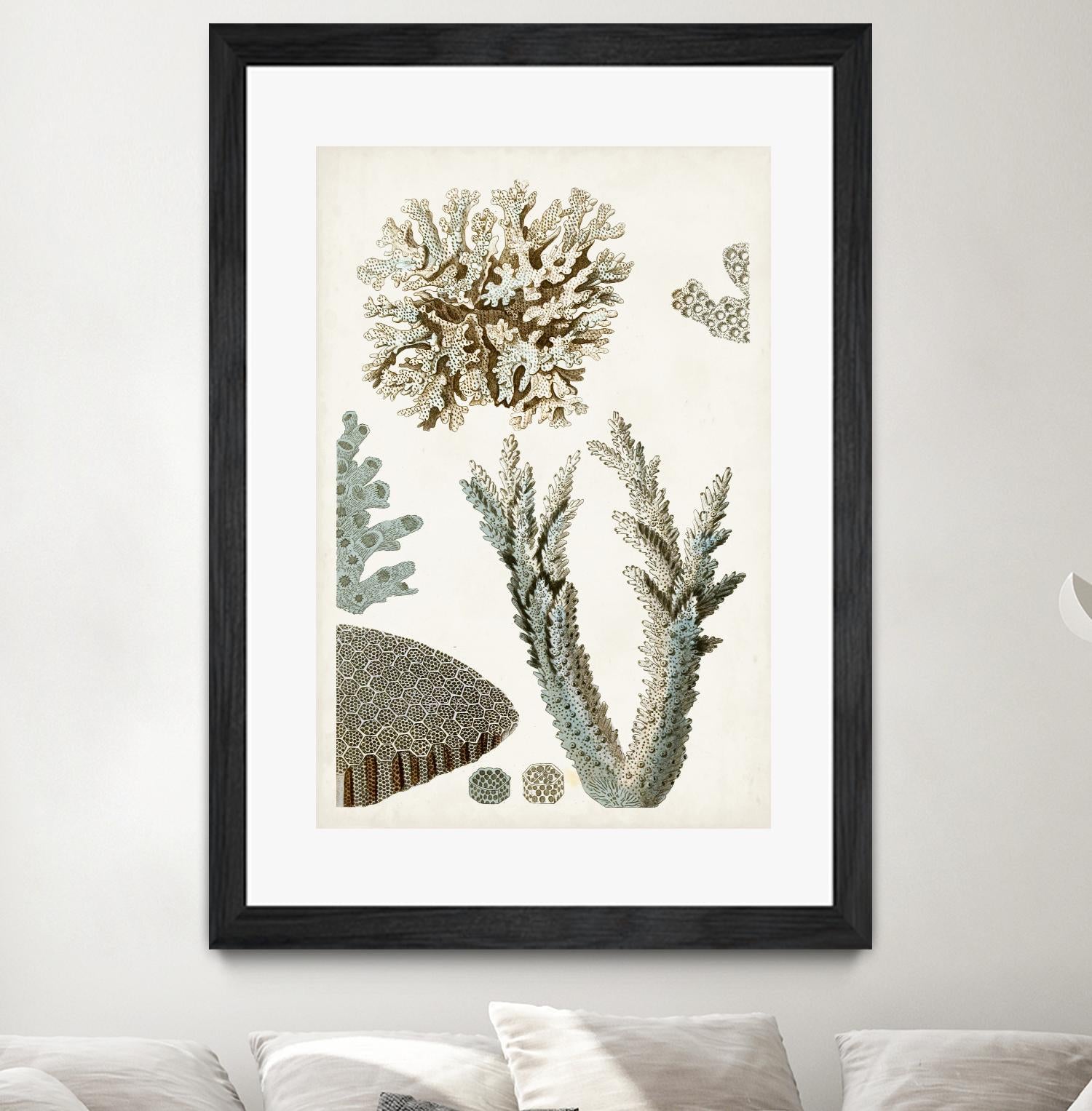 Coastal Curiosity VI by Unknown on GIANT ART - beige coastal & tropical sea