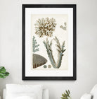 Coastal Curiosity VI by Unknown on GIANT ART - beige coastal & tropical sea