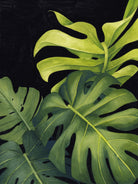 Night Monsteras I by Grace Popp on GIANT ART - green  coastal & tropical abstract
