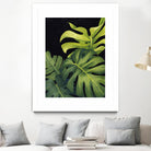 Night Monsteras I by Grace Popp on GIANT ART - green  coastal & tropical abstract
