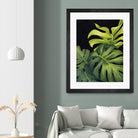 Night Monsteras I by Grace Popp on GIANT ART - green  coastal & tropical abstract