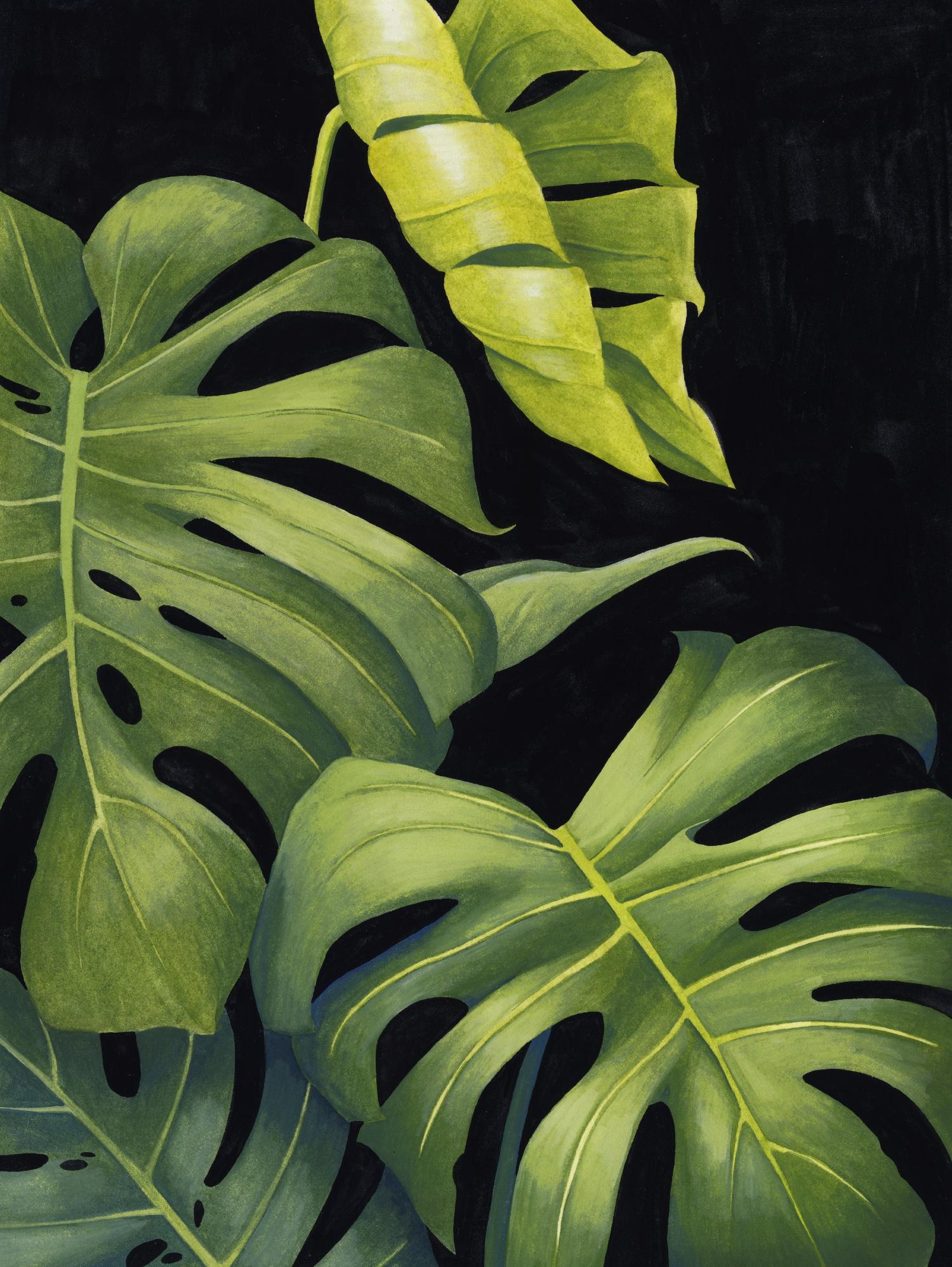 Night Monsteras II by Grace Popp on GIANT ART - green coastal & tropical abstract