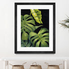 Night Monsteras II by Grace Popp on GIANT ART - green coastal & tropical abstract