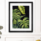 Night Monsteras II by Grace Popp on GIANT ART - green coastal & tropical abstract