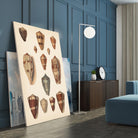 Antique Cone Shells II by Unknown on GIANT ART - beige  seashell