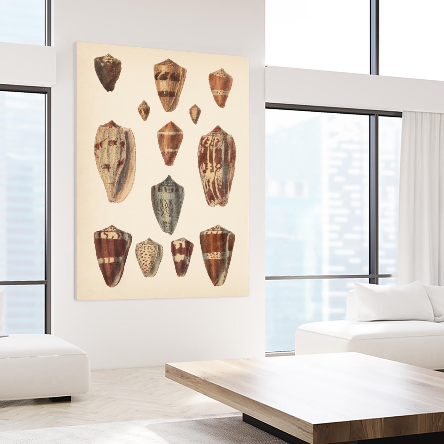 Antique Cone Shells II by Unknown on GIANT ART - beige  seashell