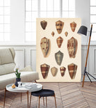 Antique Cone Shells II by Unknown on GIANT ART - beige  seashell