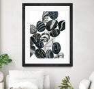 Dalmatian Rocks I by Grace Popp on GIANT ART - white abstract abstract