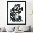 Dalmatian Rocks I by Grace Popp on GIANT ART - white abstract abstract