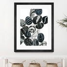 Dalmatian Rocks I by Grace Popp on GIANT ART - white abstract abstract