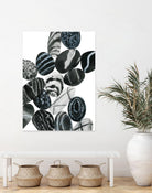 Dalmatian Rocks I by Grace Popp on GIANT ART - white abstract abstract