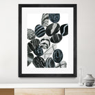 Dalmatian Rocks I by Grace Popp on GIANT ART - white abstract abstract