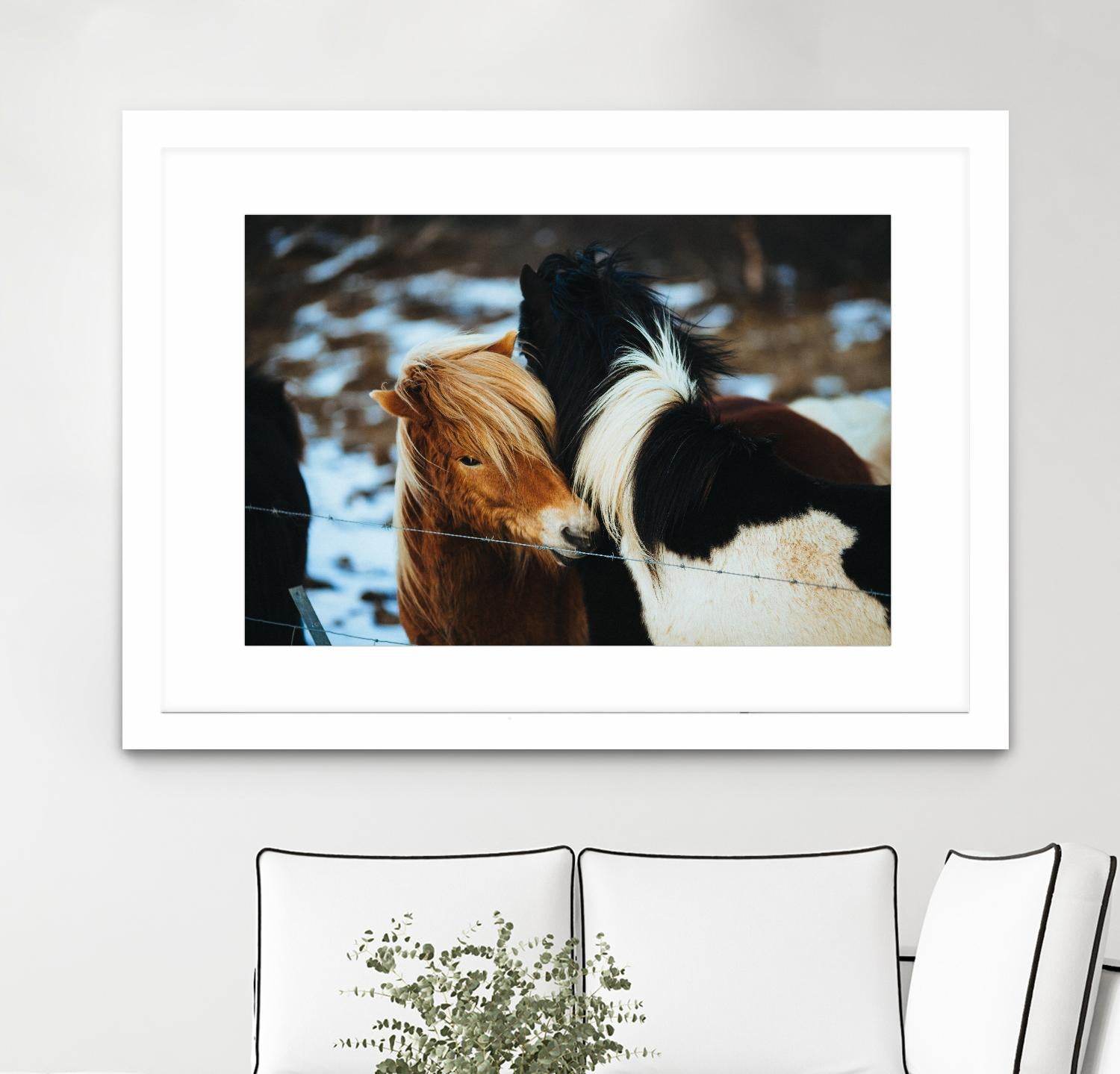 Poneys by Pexels on GIANT ART - black animals