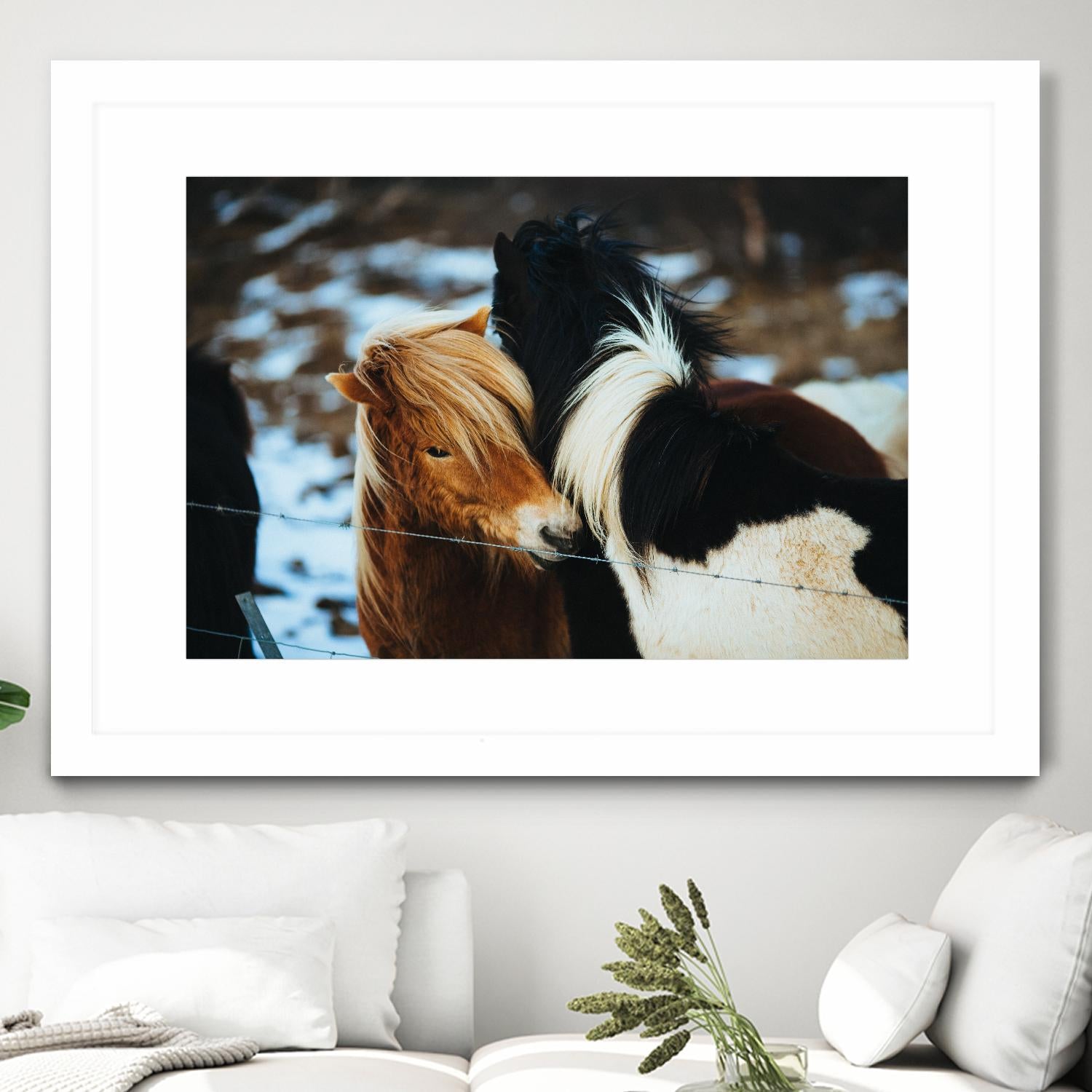 Poneys by Pexels on GIANT ART - black animals