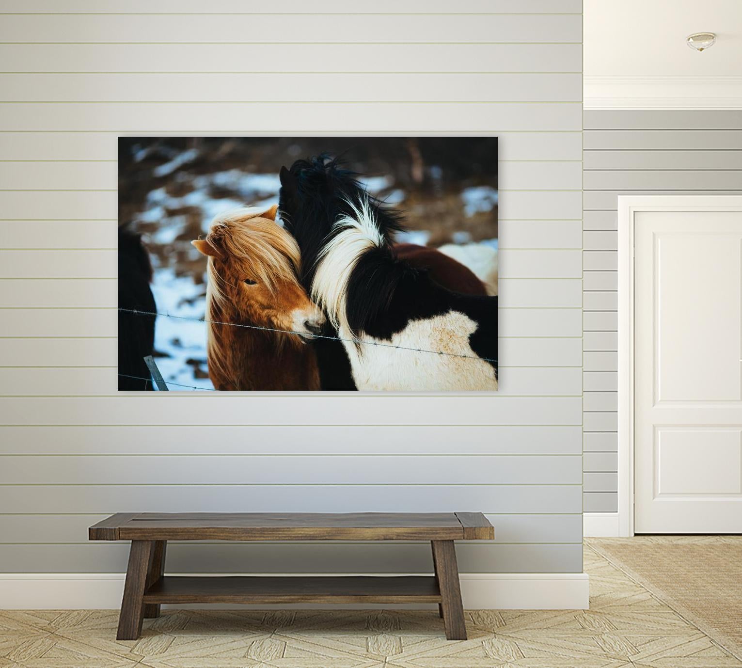 Poneys by Pexels on GIANT ART - black animals