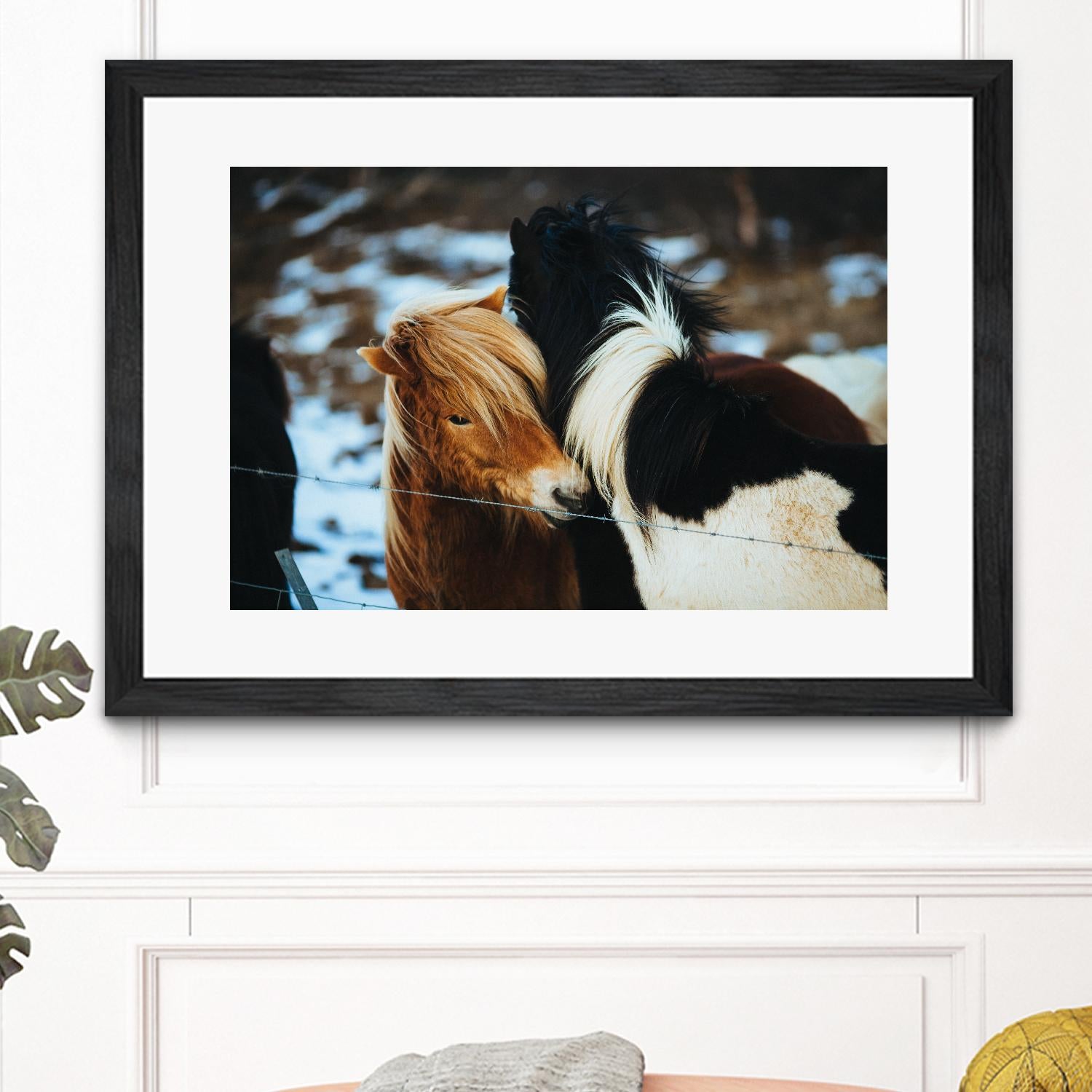 Poneys by Pexels on GIANT ART - black animals