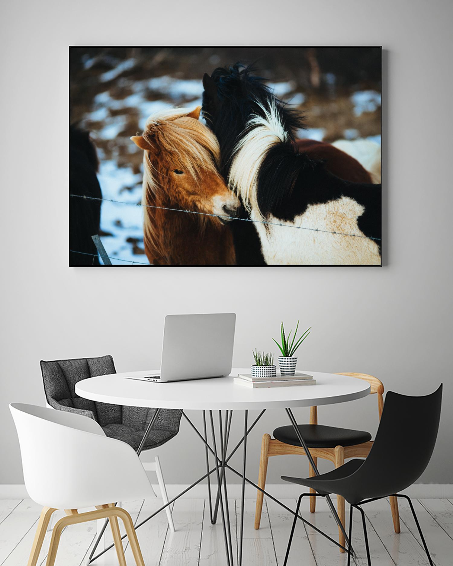Poneys by Pexels on GIANT ART - black animals
