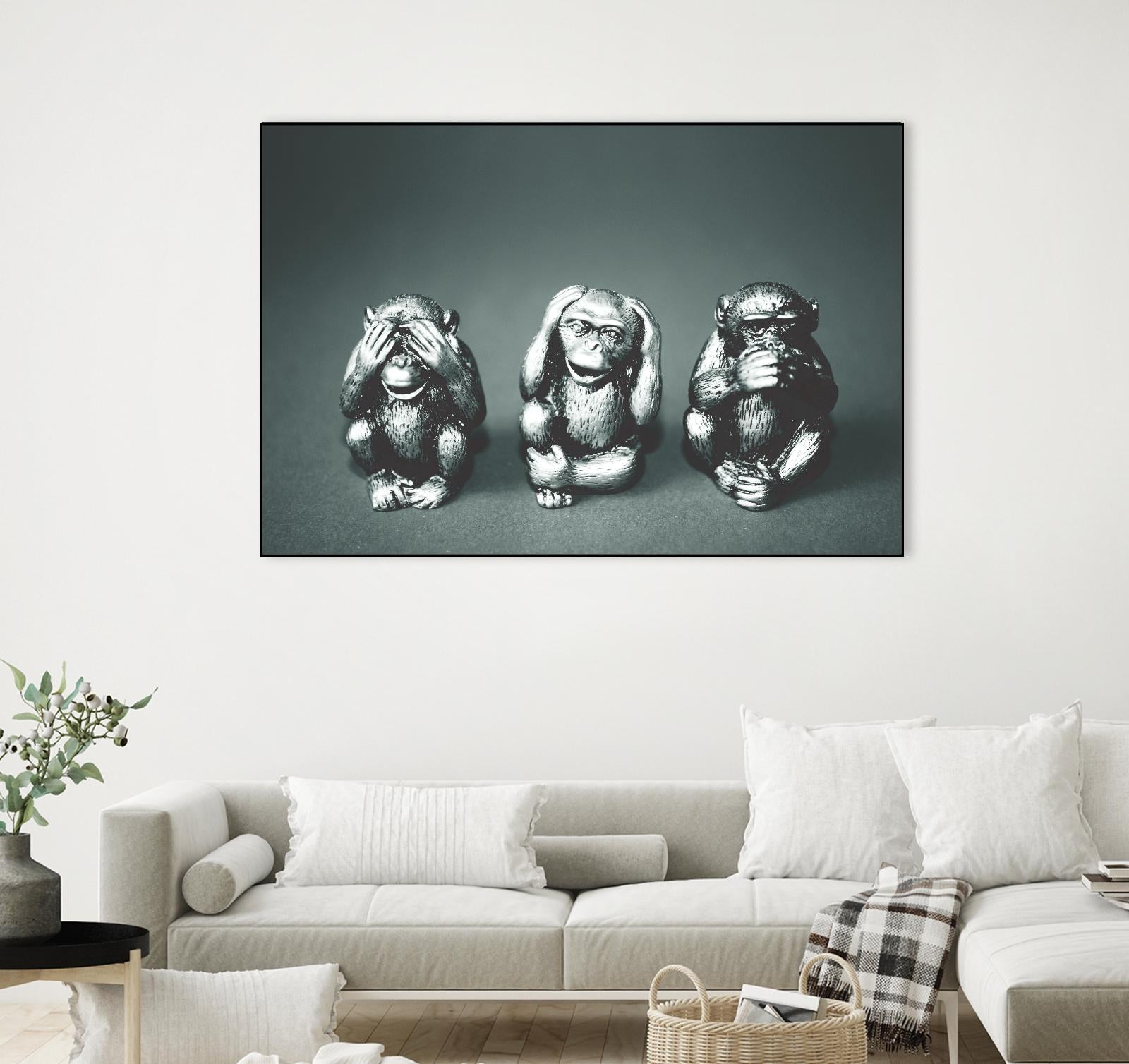 Wise monkeys by Pexels on GIANT ART - white animals