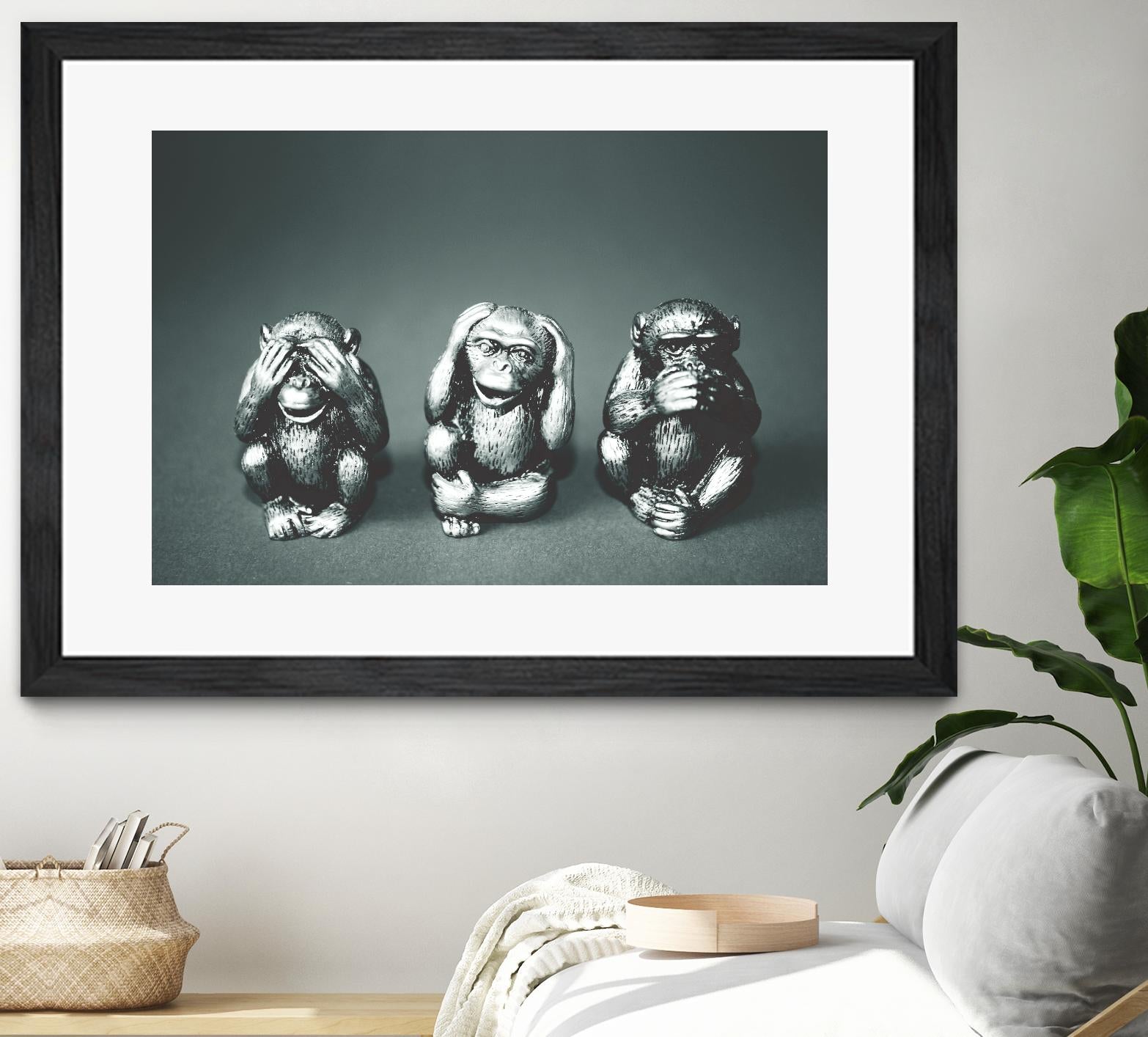 Wise monkeys by Pexels on GIANT ART - white animals