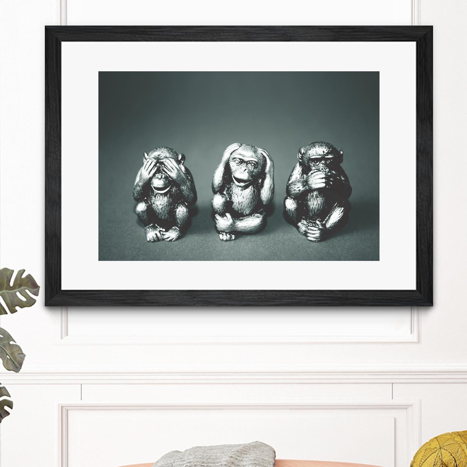 Wise monkeys by Pexels on GIANT ART - white animals