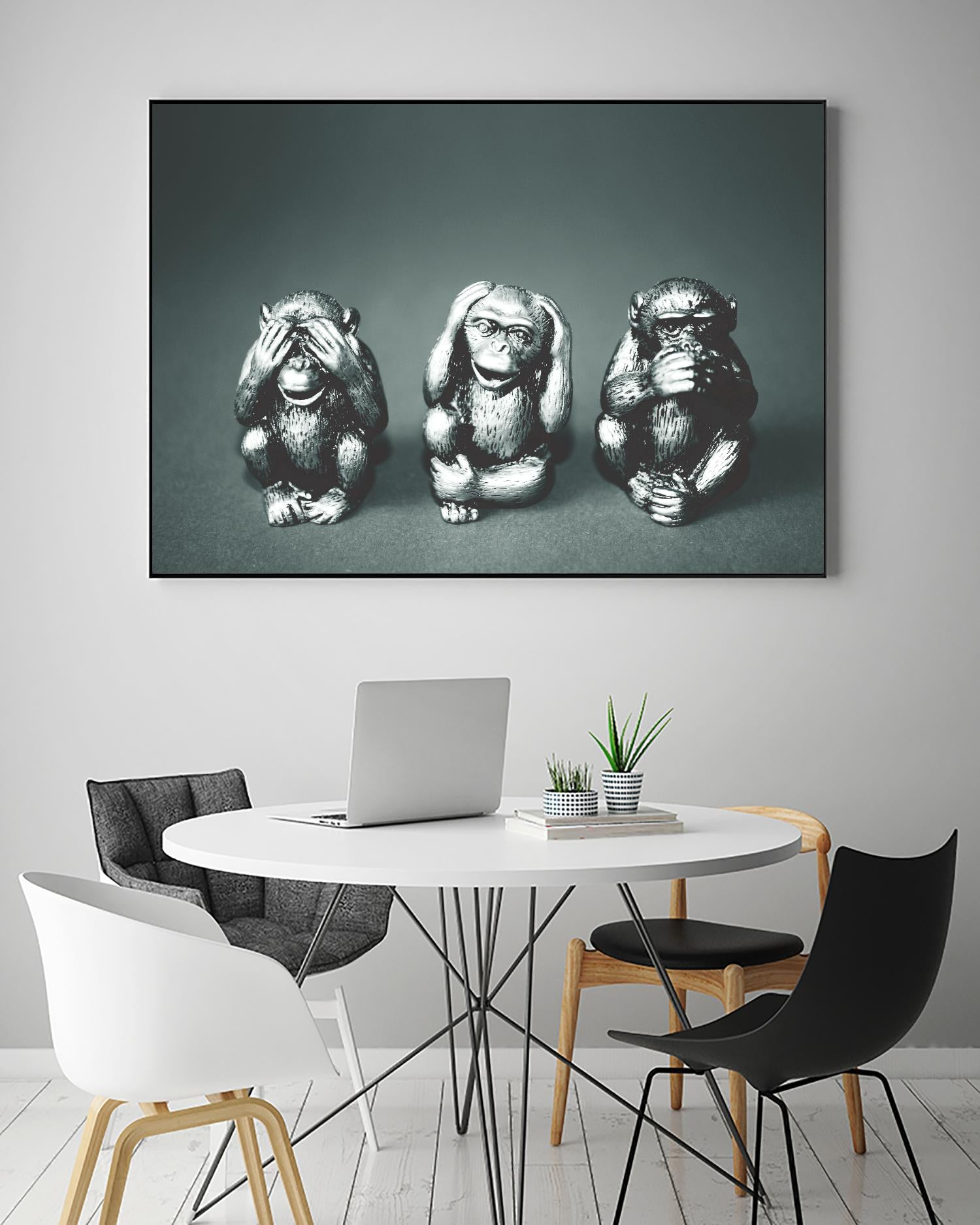 Wise monkeys by Pexels on GIANT ART - white animals