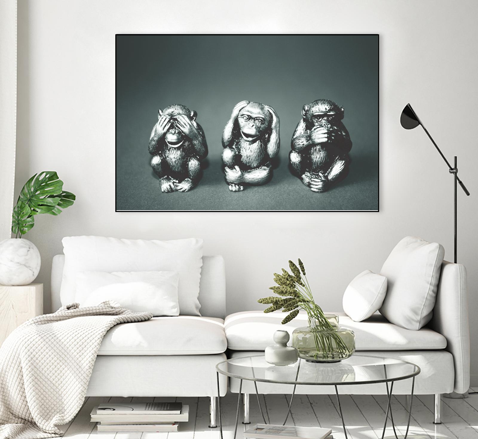 Wise monkeys by Pexels on GIANT ART - white animals