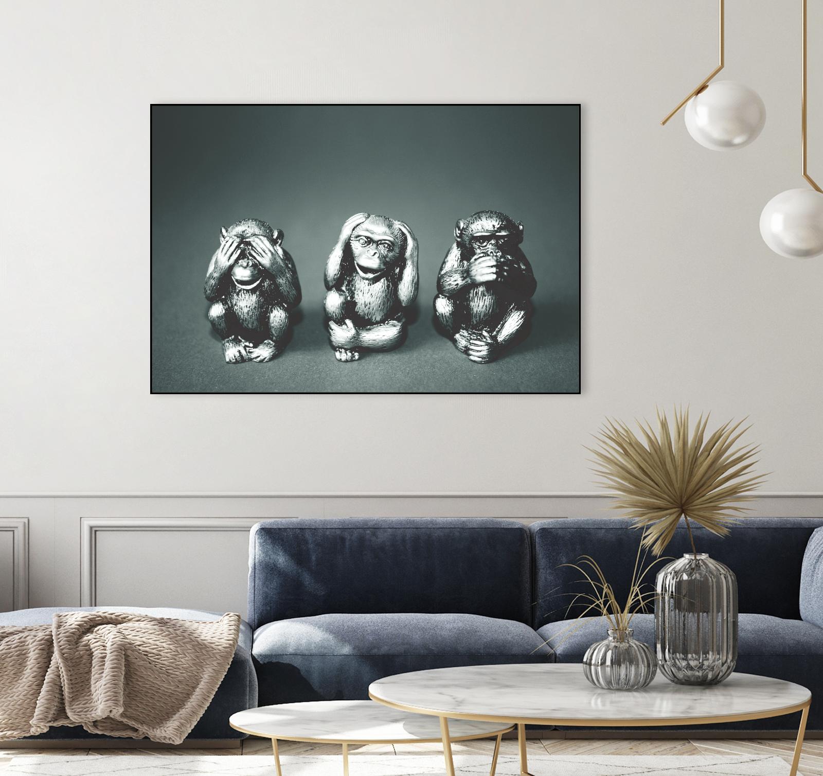 Wise monkeys by Pexels on GIANT ART - white animals