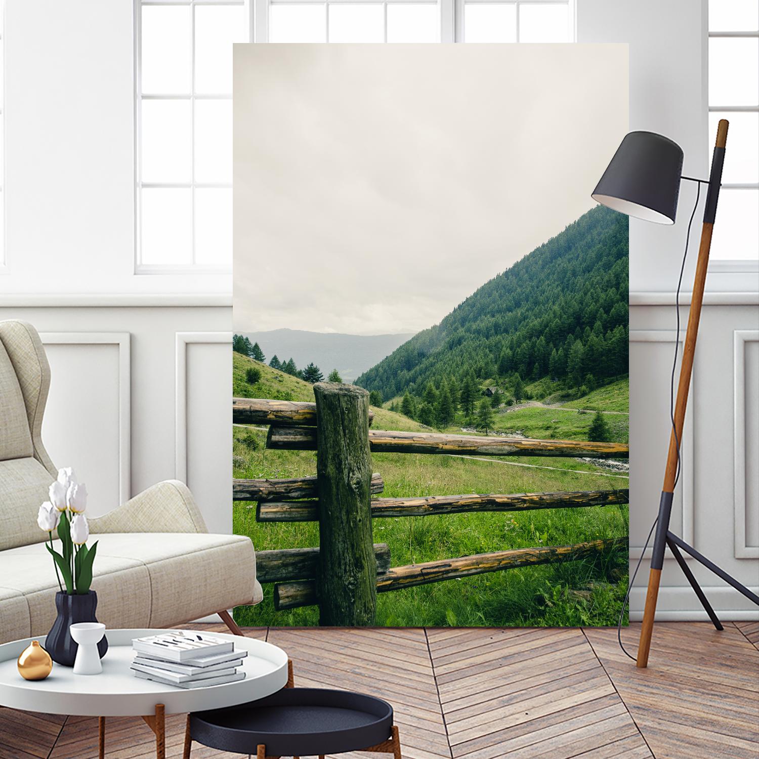 This view by Pexels on GIANT ART - white landscape