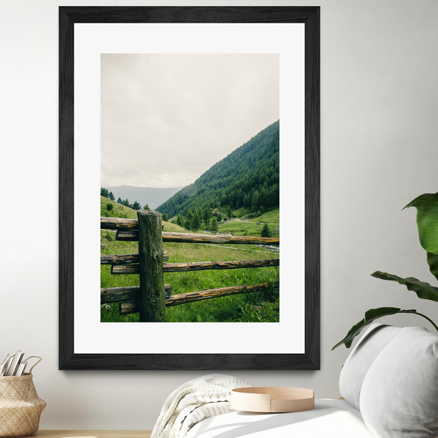 This view by Pexels on GIANT ART - white landscape