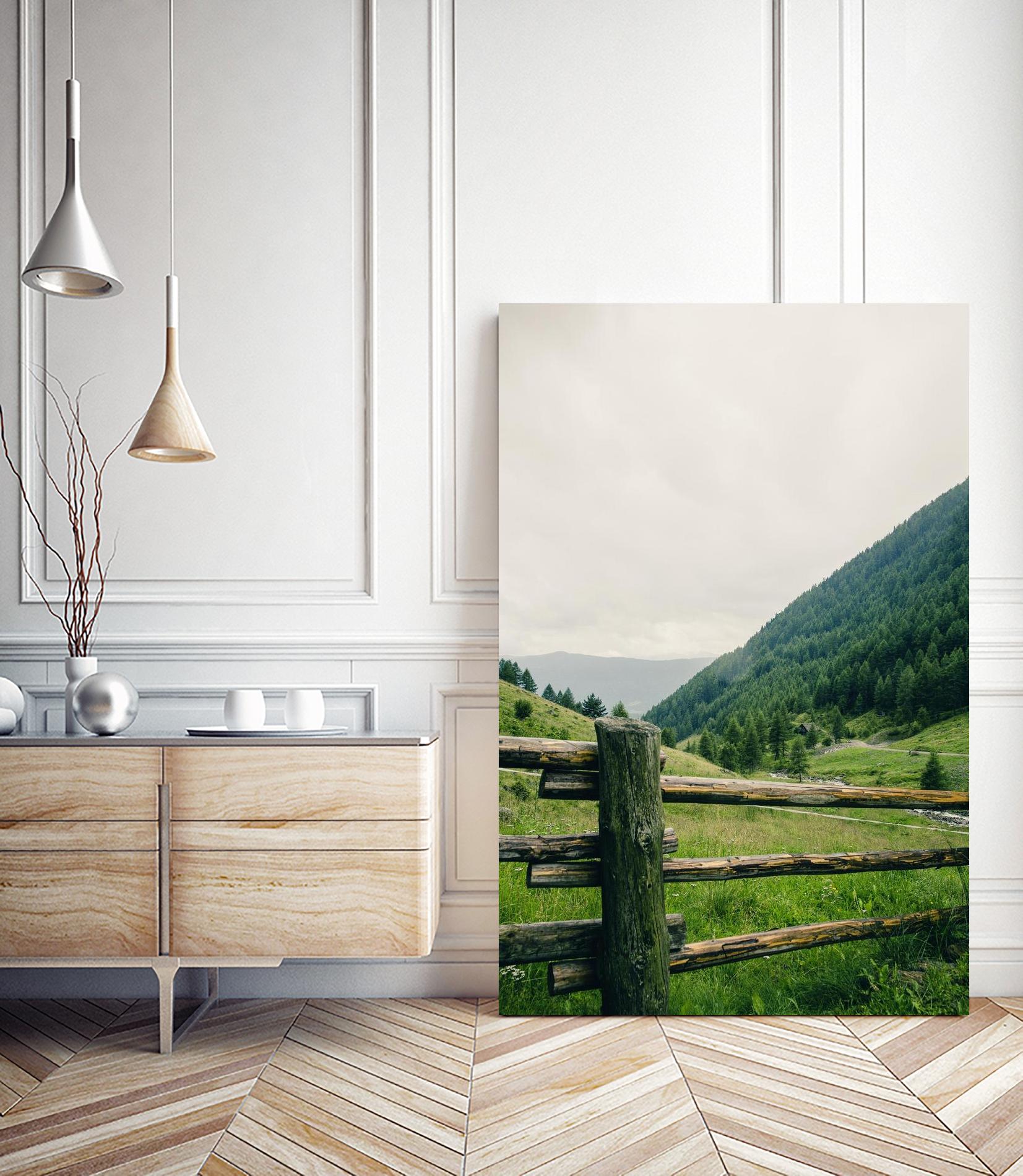 This view by Pexels on GIANT ART - white landscape